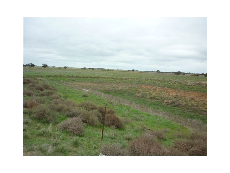 1451 Jeparit-Warracknabeal Road, Jeparit VIC 3423