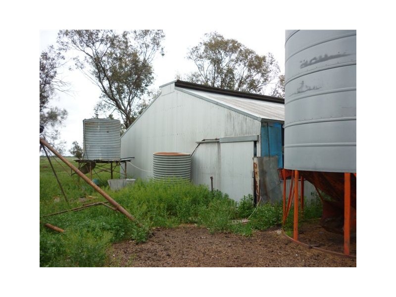 1451 Jeparit-Warracknabeal Road, Jeparit VIC 3423