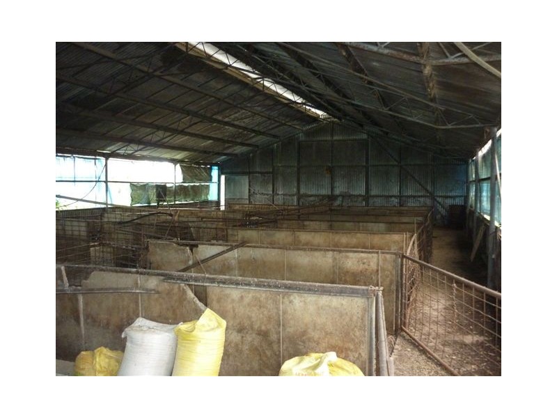 1451 Jeparit-Warracknabeal Road, Jeparit VIC 3423