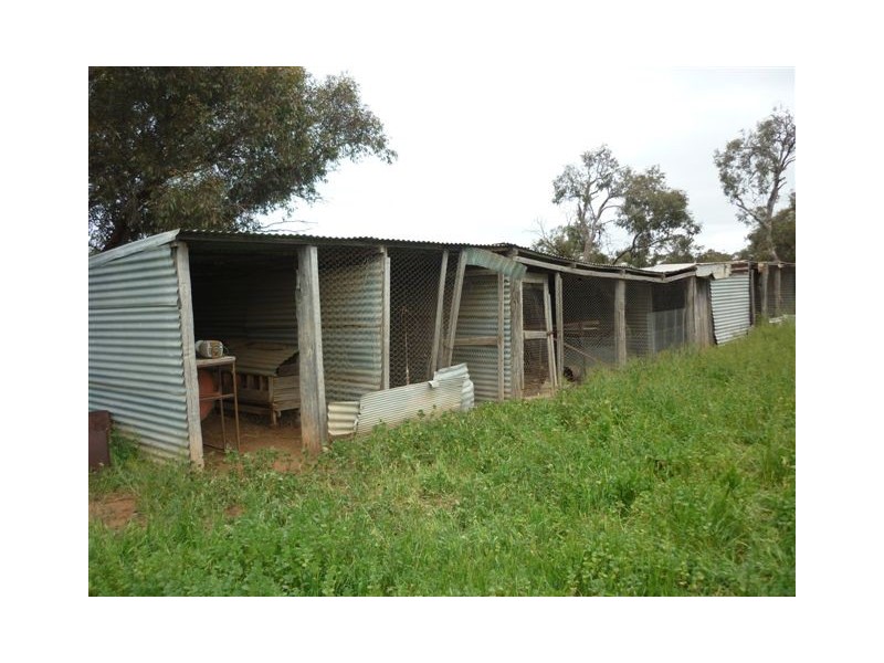 1451 Jeparit-Warracknabeal Road, Jeparit VIC 3423