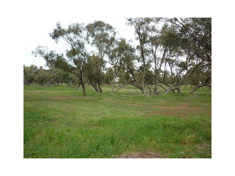 1451 Jeparit-Warracknabeal Road, Jeparit VIC 3423