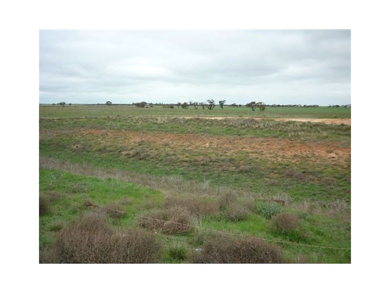 1451 Jeparit-Warracknabeal Road, Jeparit VIC 3423