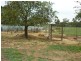 2400 Antwerp – Woorak Road Antwerp, Dimboola VIC 3414