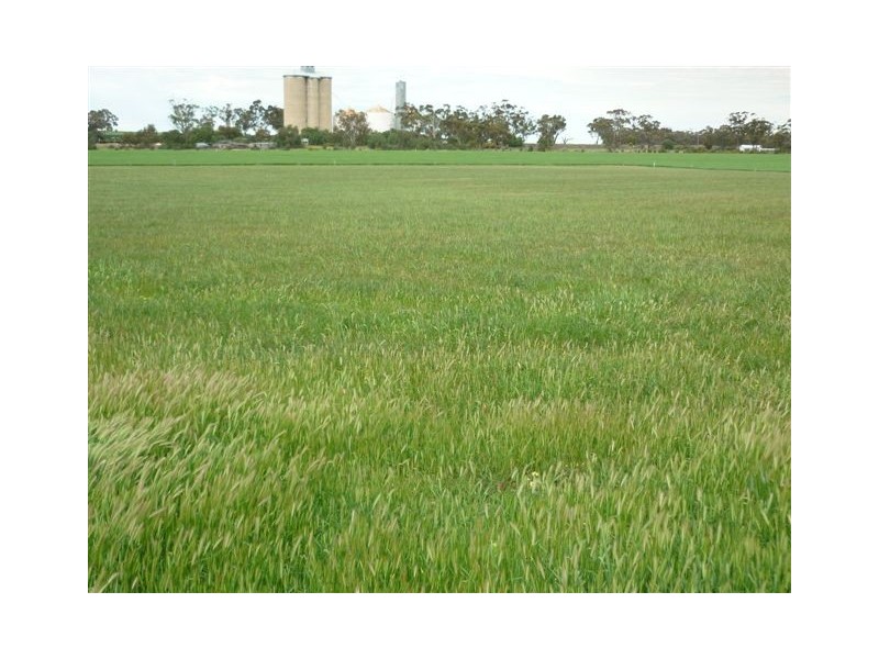 2400 Antwerp – Woorak Road Antwerp, Dimboola VIC 3414