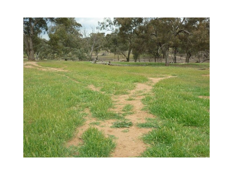 2400 Antwerp – Woorak Road Antwerp, Dimboola VIC 3414