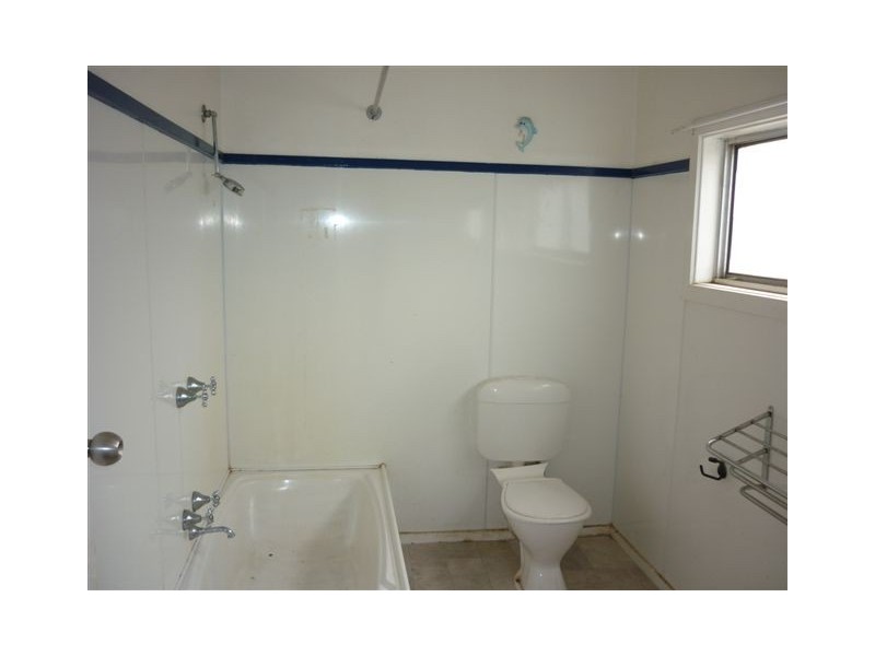 31 Brook Street, Woomelang VIC 3485