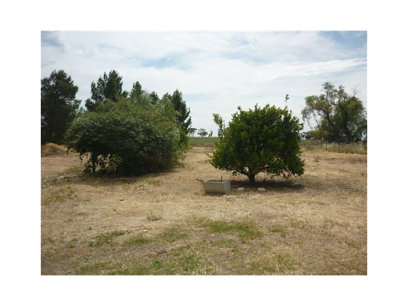 31 Brook Street, Woomelang VIC 3485