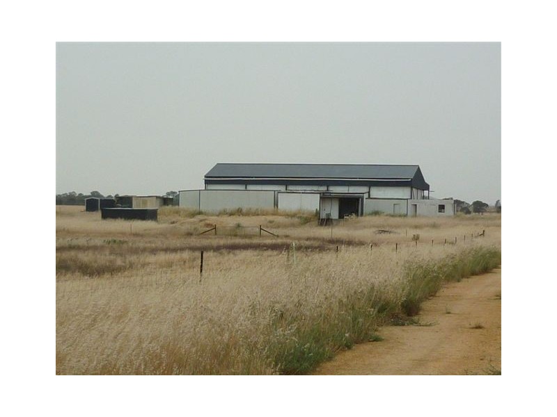 3341 Borung Highway, Donald VIC 3480