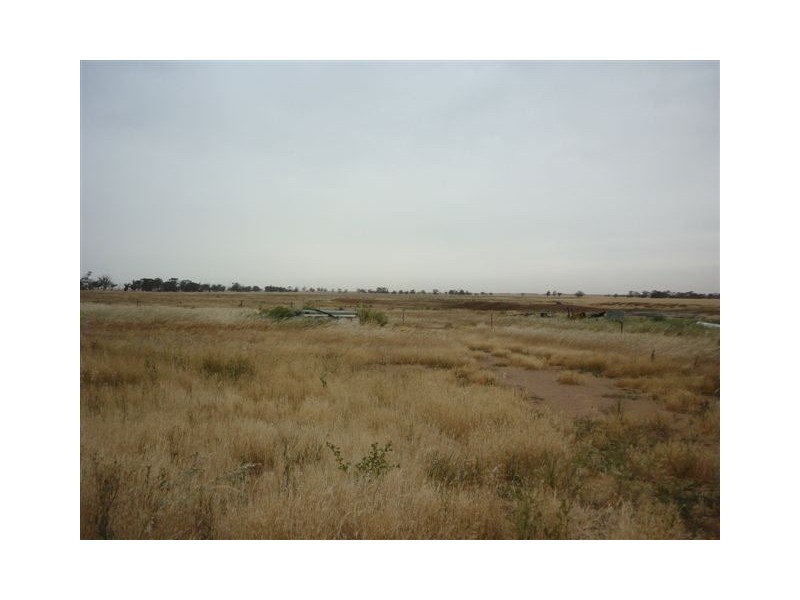 3341 Borung Highway, Donald VIC 3480