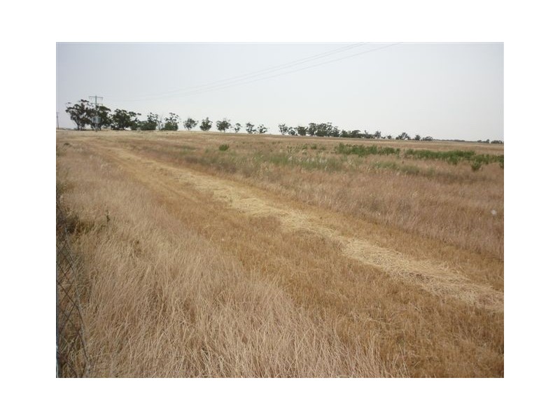 3341 Borung Highway, Donald VIC 3480