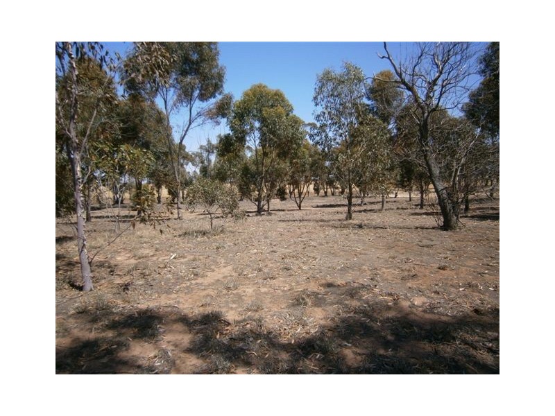 74 Krause Lane, Minyip VIC 3392