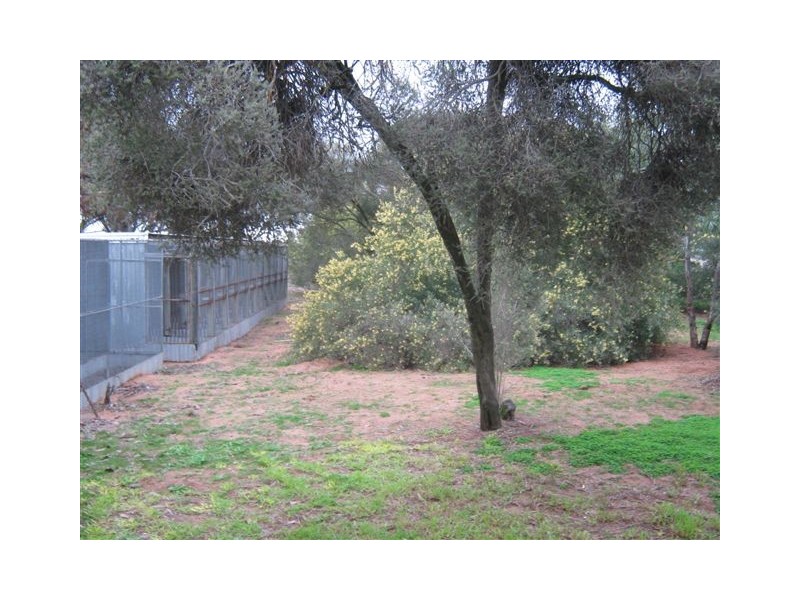 74 Krause Lane, Minyip VIC 3392