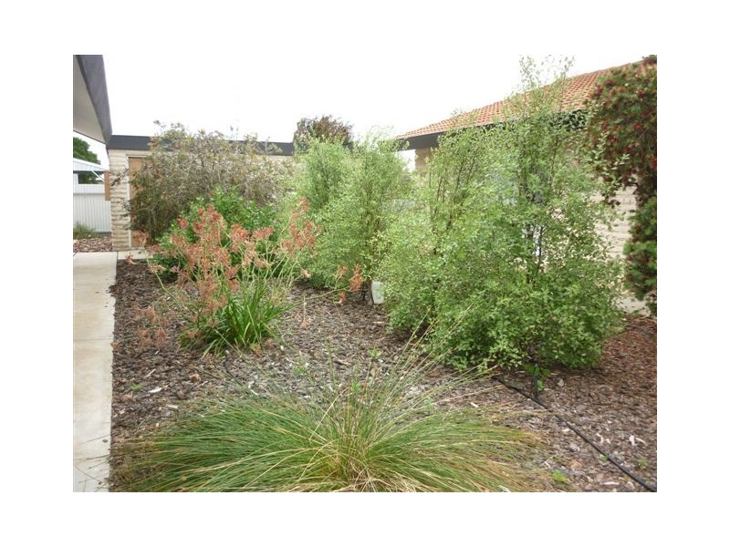 3/4 Livingstone Street, Warracknabeal VIC 3393