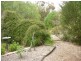 38 Horsham Road, Dimboola VIC 3414