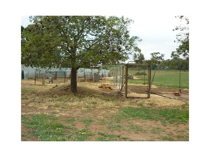 2400 Antwerp – Woorak Road Antwerp Via, Dimboola VIC 3414