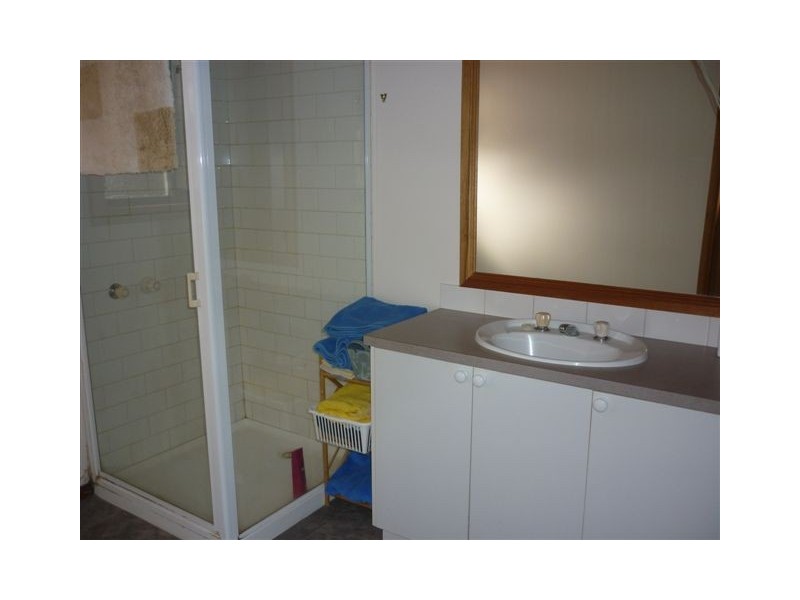 163 Woods Street, Donald VIC 3480