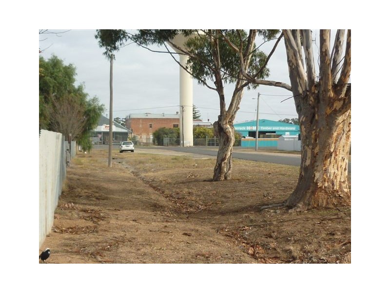 46A Molyneaux Street, Warracknabeal VIC 3393