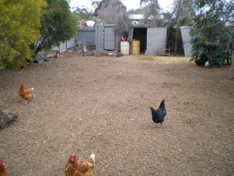 24 Dimboola Road, Warracknabeal VIC 3393