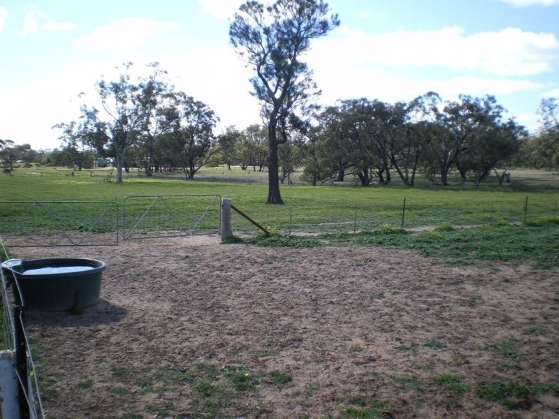 1520 Cannun Five Chain Road, Warracknabeal VIC 3393