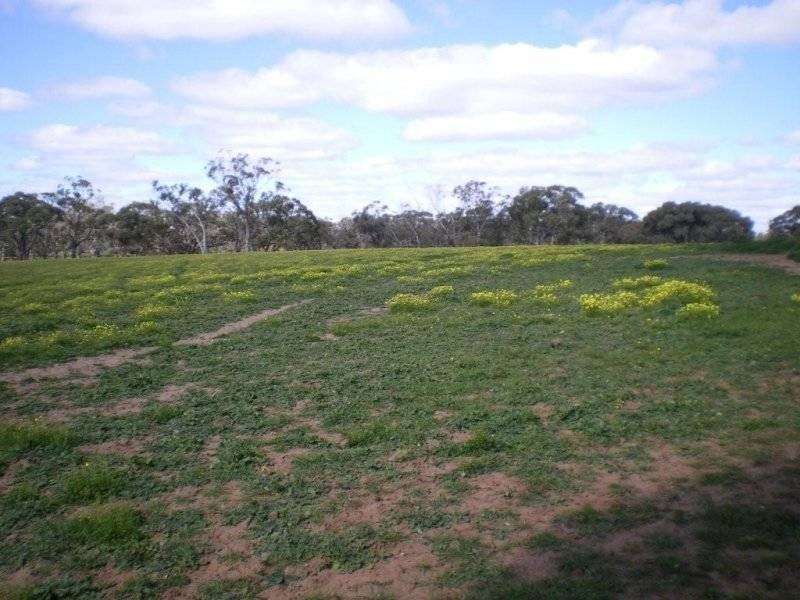 1520 Cannun Five Chain Road, Warracknabeal VIC 3393