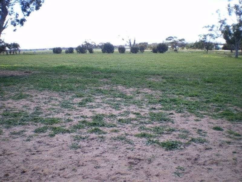 1520 Cannun Five Chain Road, Warracknabeal VIC 3393