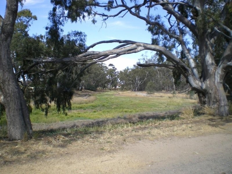 96 Craig Avenue, Warracknabeal VIC 3393