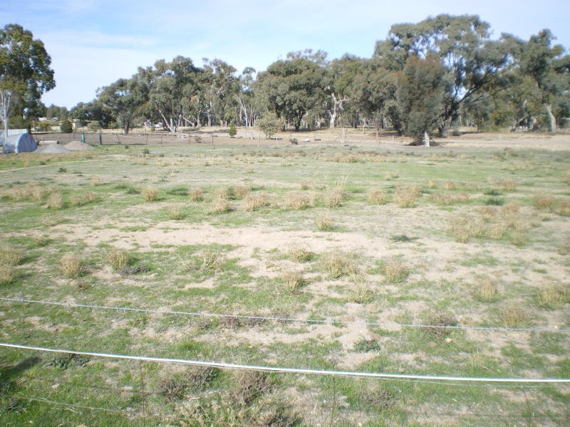 Moulder Street, Dimboola VIC 3414