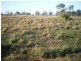 Warracknabeal VIC 3393