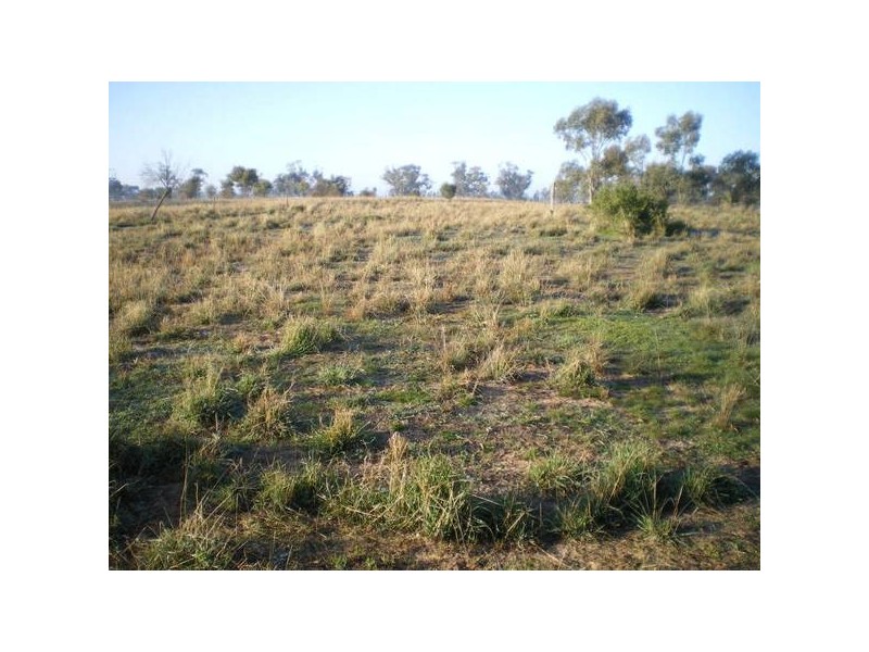 Warracknabeal VIC 3393