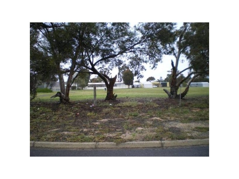 Warracknabeal VIC 3393
