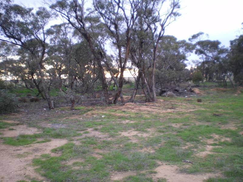 117 Starick Road, Antwerp VIC 3414