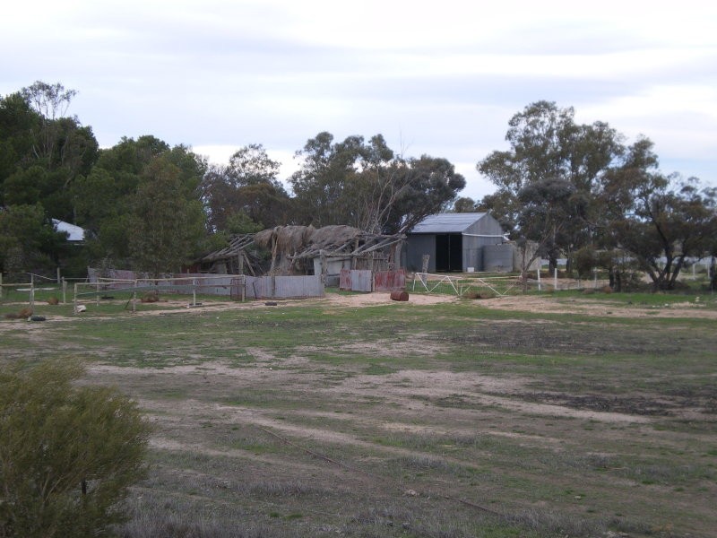 117 Starick Road, Antwerp VIC 3414