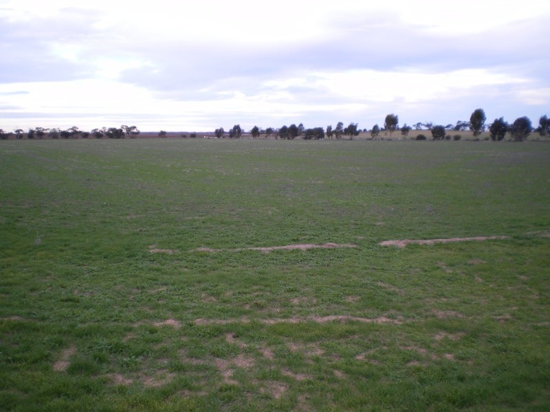 117 Starick Road, Antwerp VIC 3414