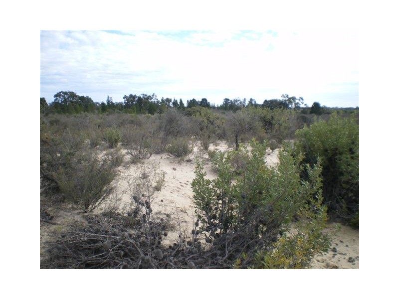 Lot 1 Horse Shoe Bend Road, Dimboola VIC 3414