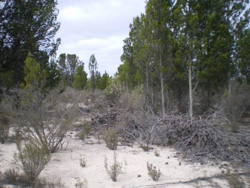 Lot 1 Horse Shoe Bend Road, Dimboola VIC 3414