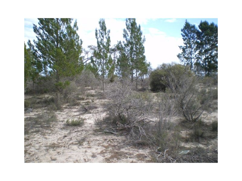 Lot 1 Horse Shoe Bend Road, Dimboola VIC 3414