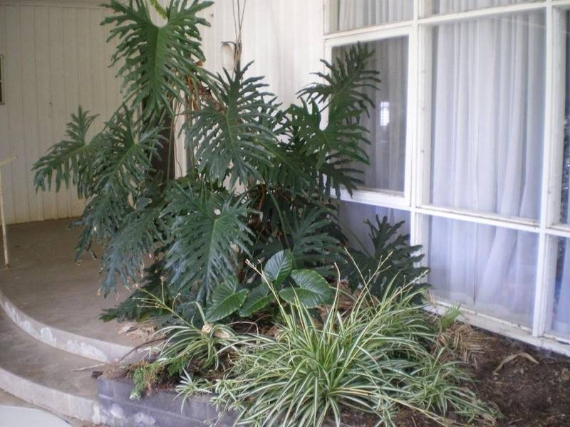 34 Church Street, Nhill VIC 3418