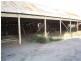 31 Roy Street, Jeparit VIC 3423
