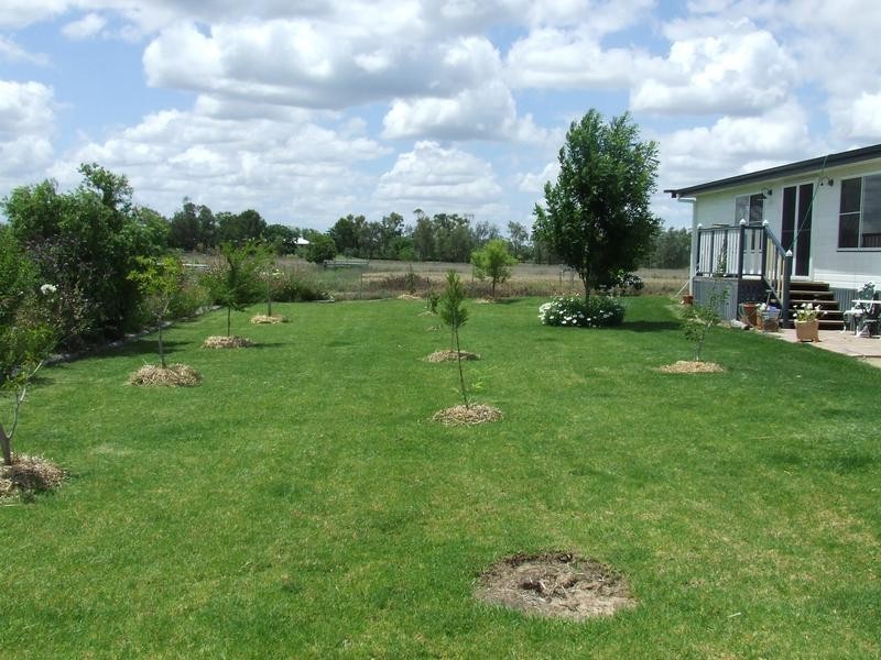 Tarrawingee Rd, Moree NSW 2400