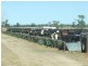 Foxes Lane, Moree NSW 2400