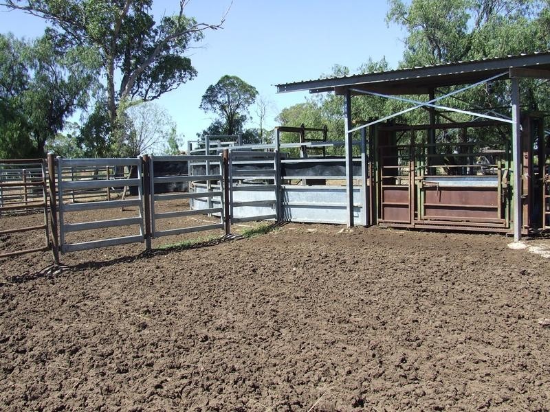 Foxes Lane, Moree NSW 2400