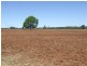 Foxes Lane, Moree NSW 2400