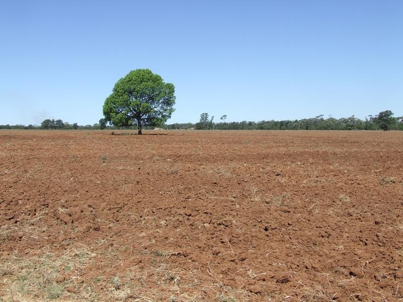 Foxes Lane, Moree NSW 2400