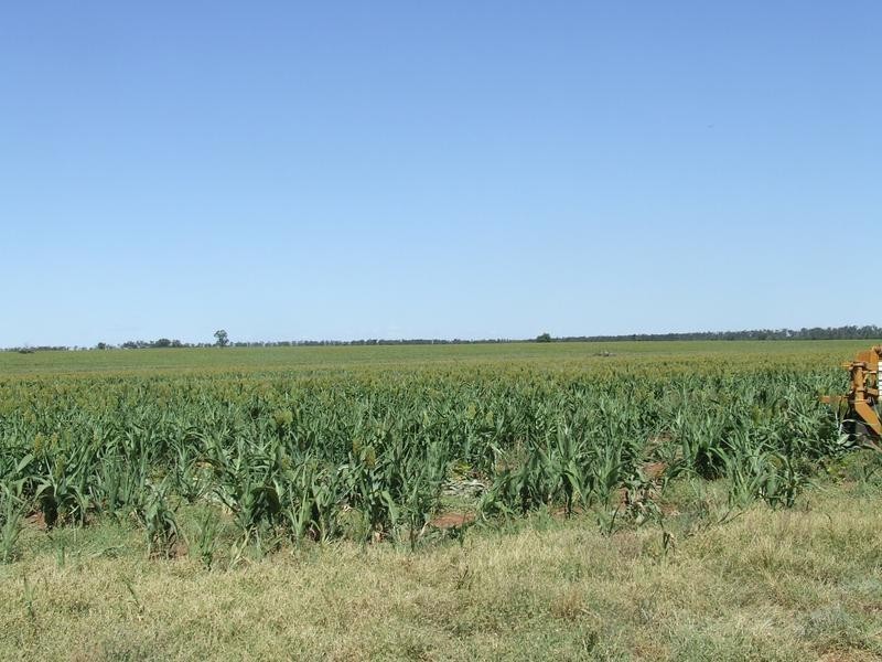 Foxes Lane, Moree NSW 2400