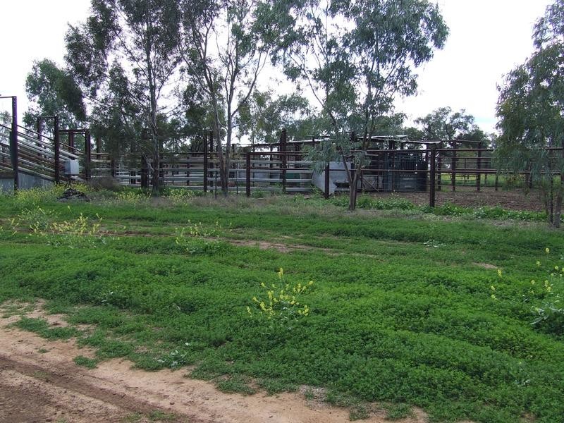 Watercourse road, Moree NSW 2400