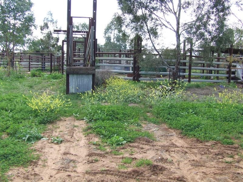 Watercourse road, Moree NSW 2400