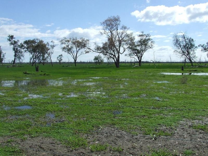 Watercourse road, Moree NSW 2400