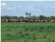 Watercourse road, Moree NSW 2400
