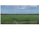 Watercourse road, Moree NSW 2400