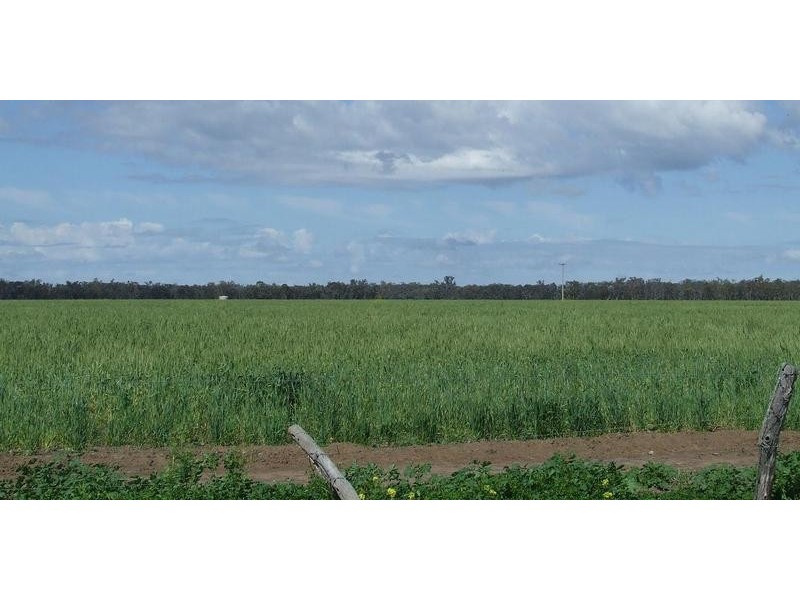 Watercourse road, Moree NSW 2400
